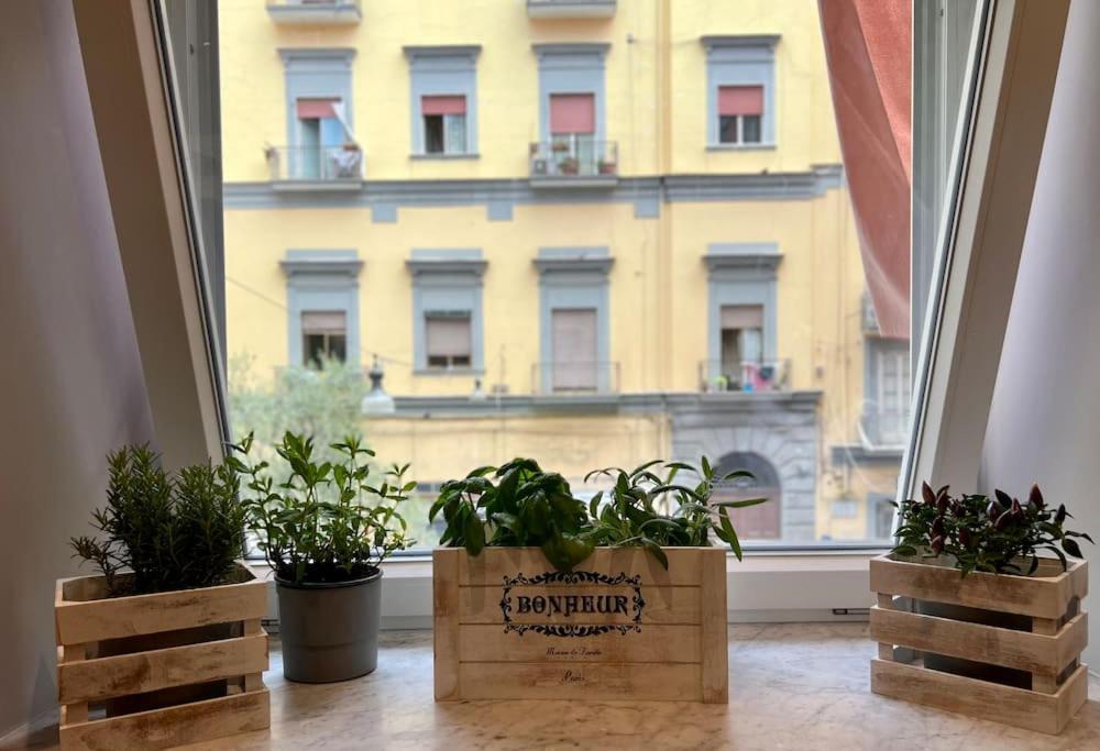 Casa Losito, Boutique 100 Mq In The Heart Of Naples! Appartamento *